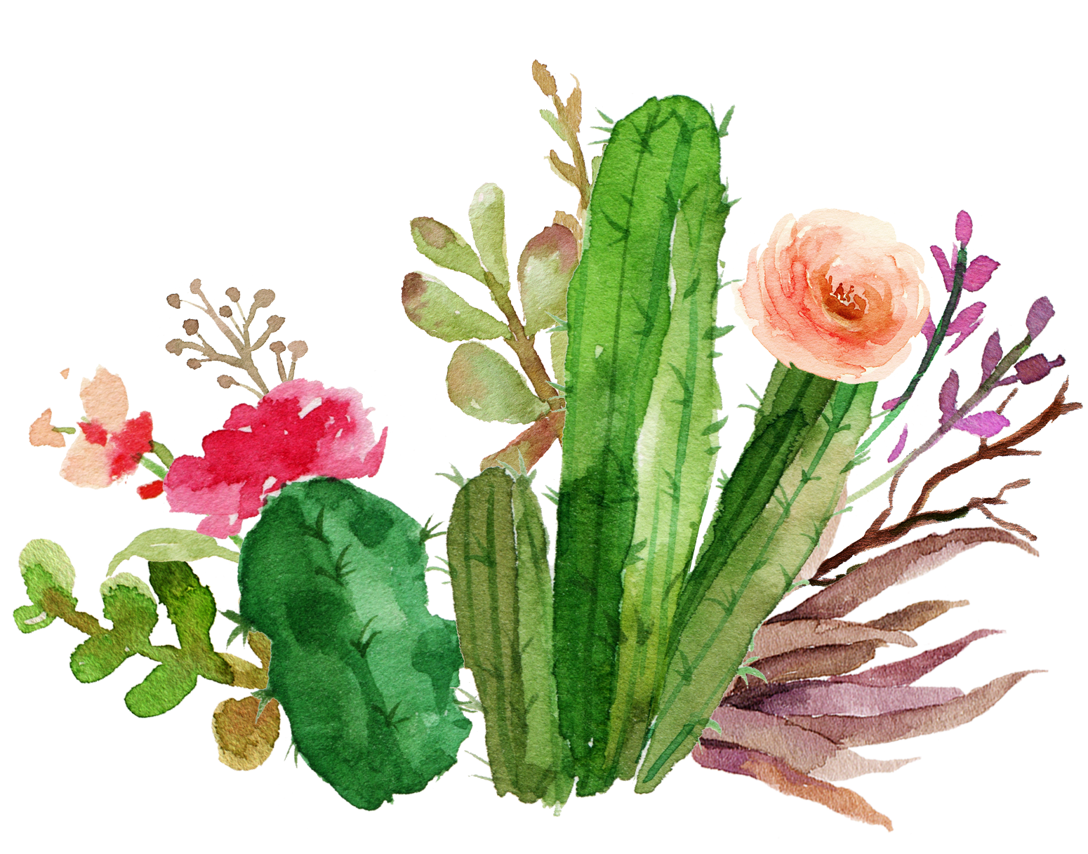 cacti cactus succulent flower floral sticker by @kd5767.