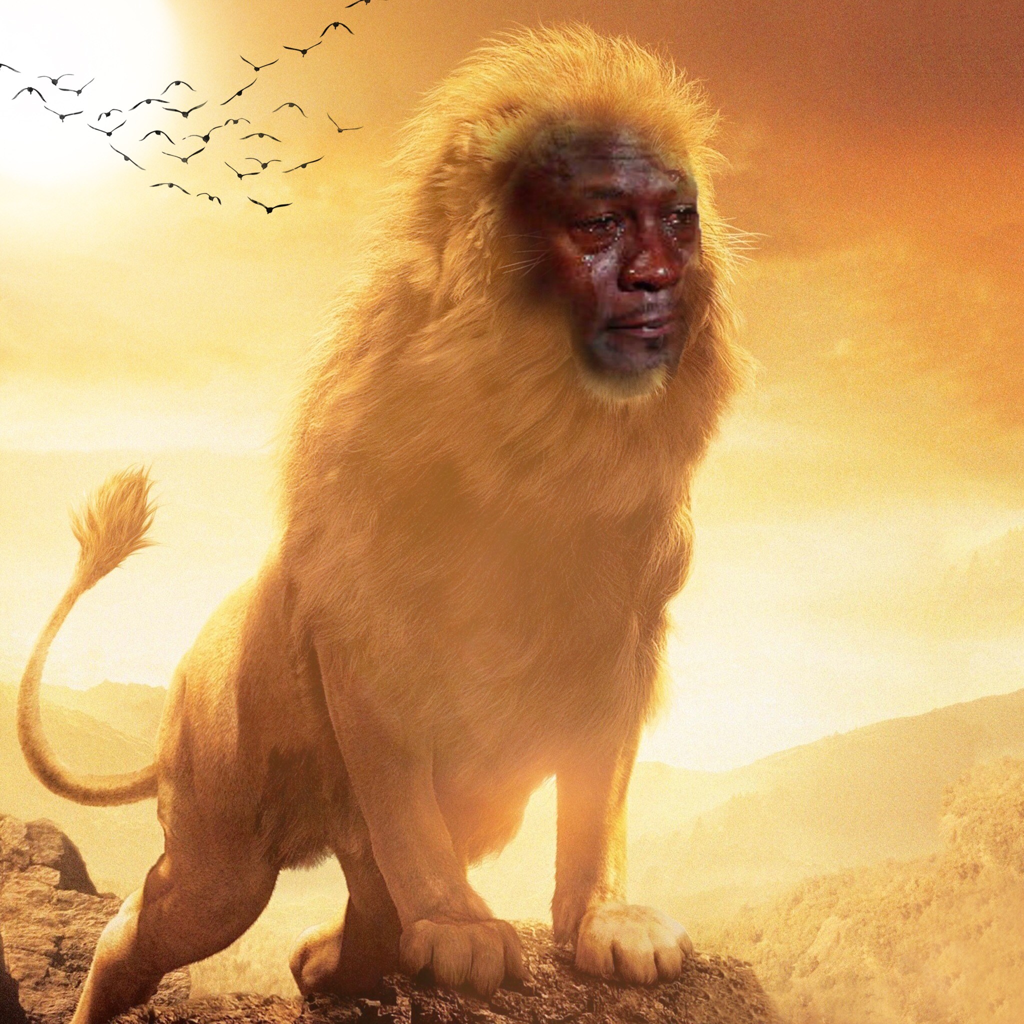 Zack Lion