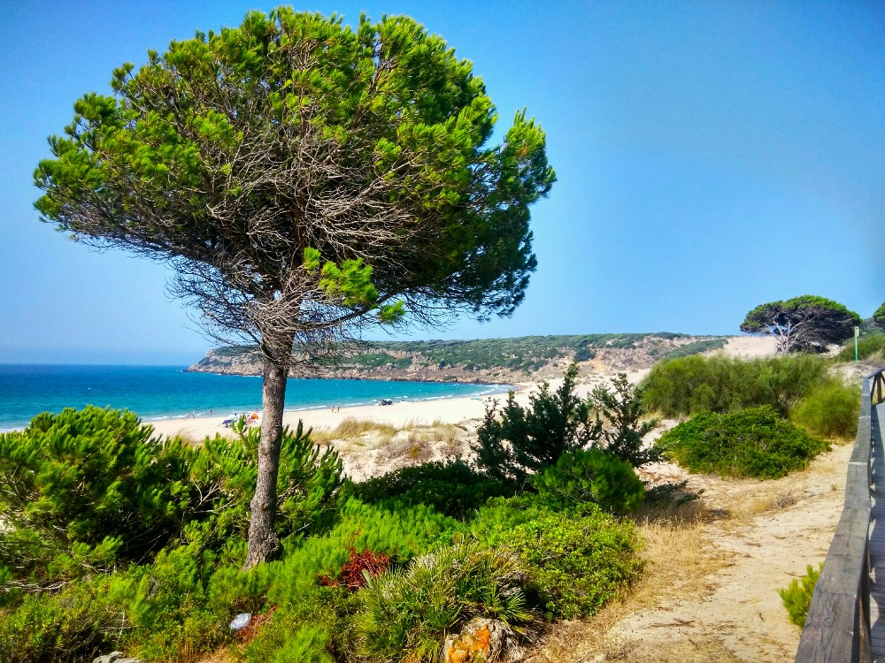  #freetoedit #beach #Cadiz