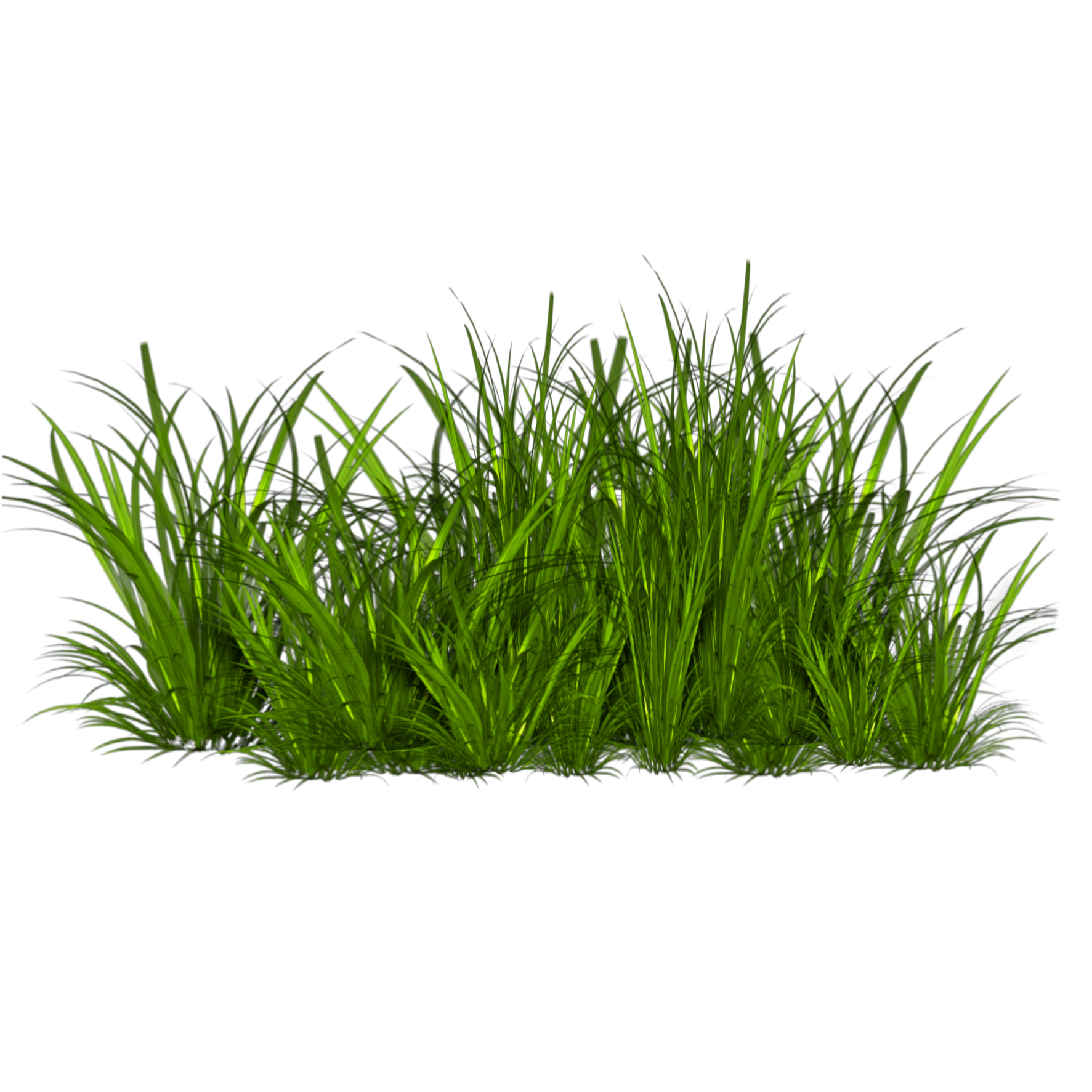 grass freetoedit #grass sticker by @amberleanne420