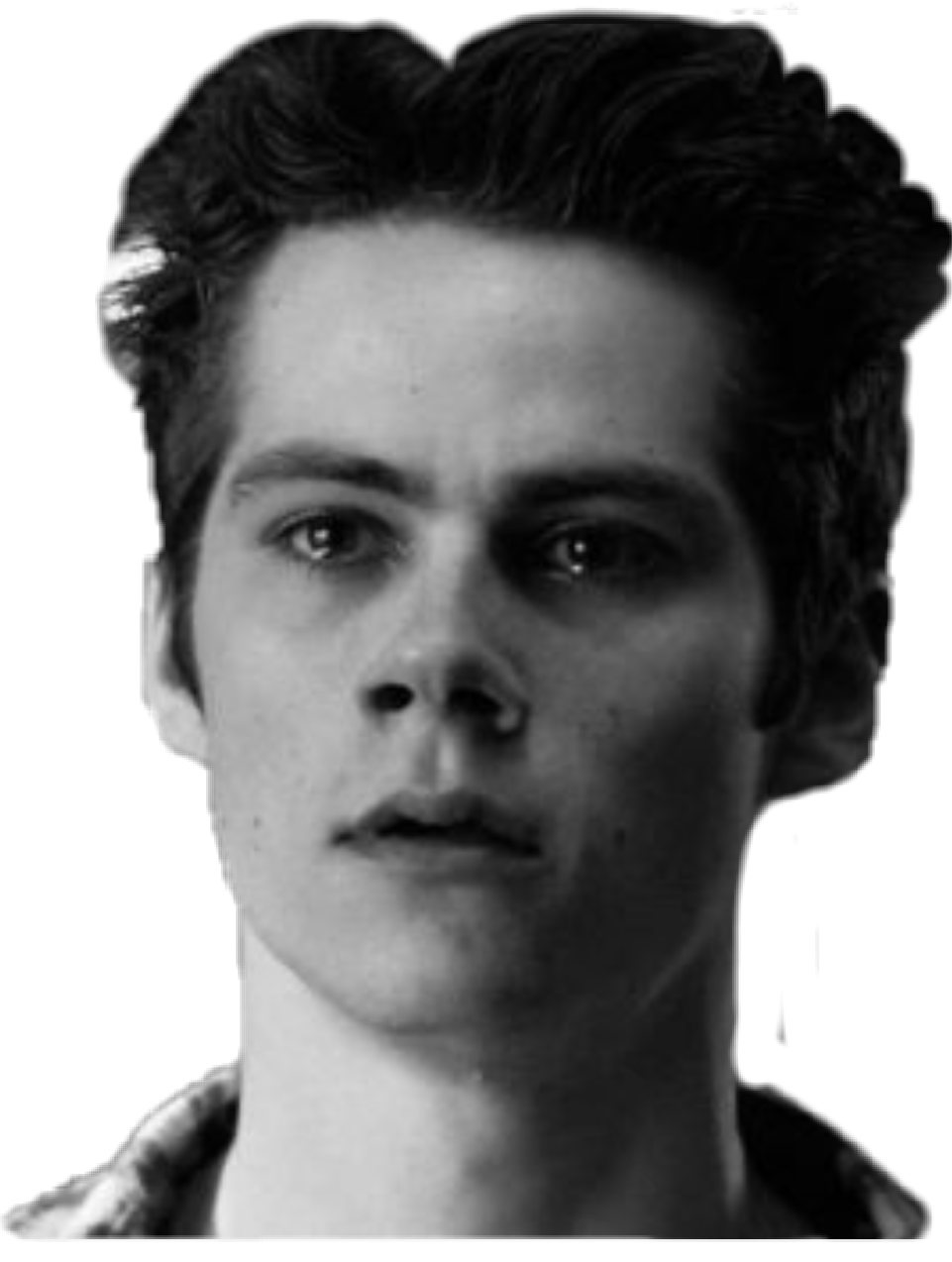 stiles tten freetoedit stiles tten sticker by vavefox05