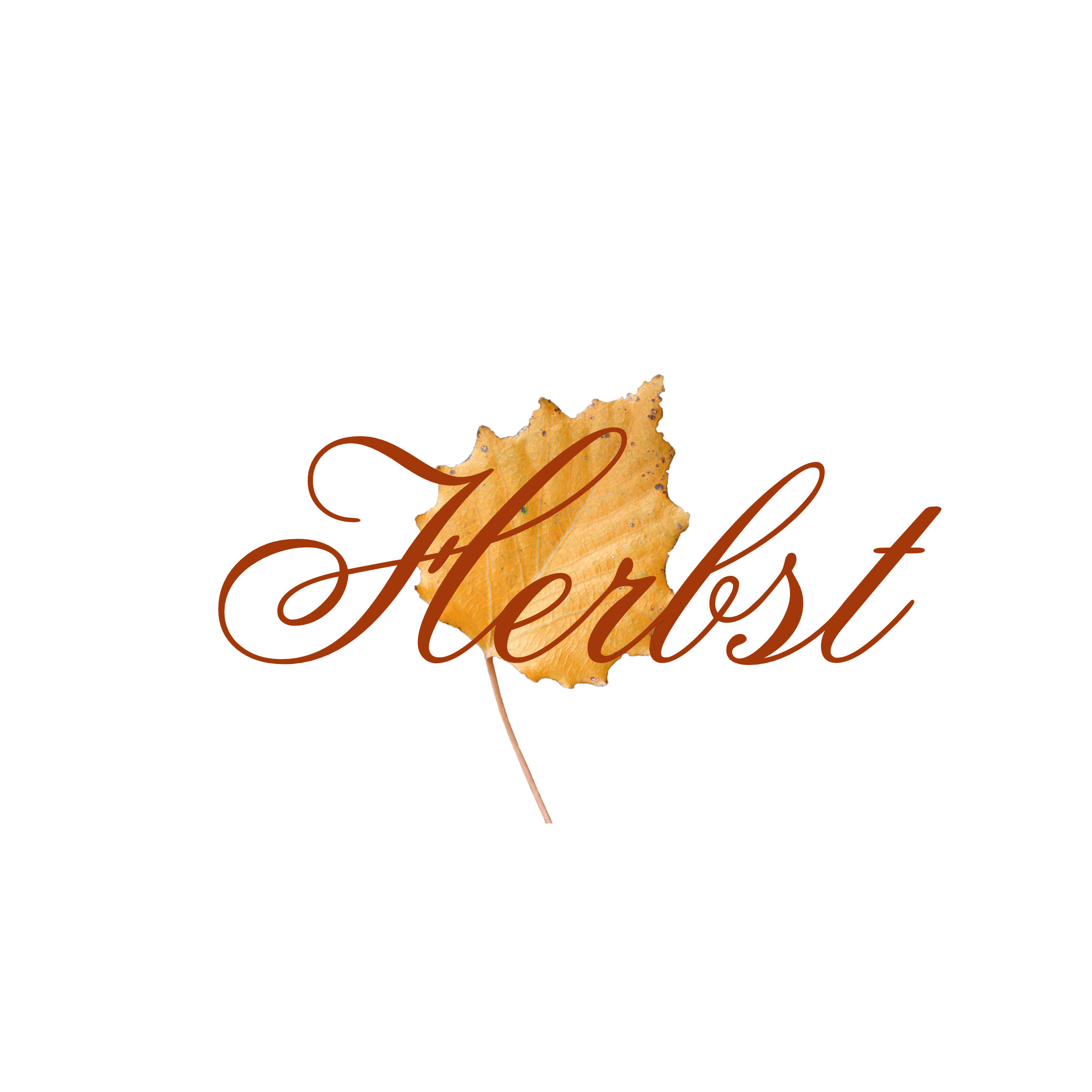 Autumn Fall Leaf Freetoedit Sticker By Lullabymcmillan