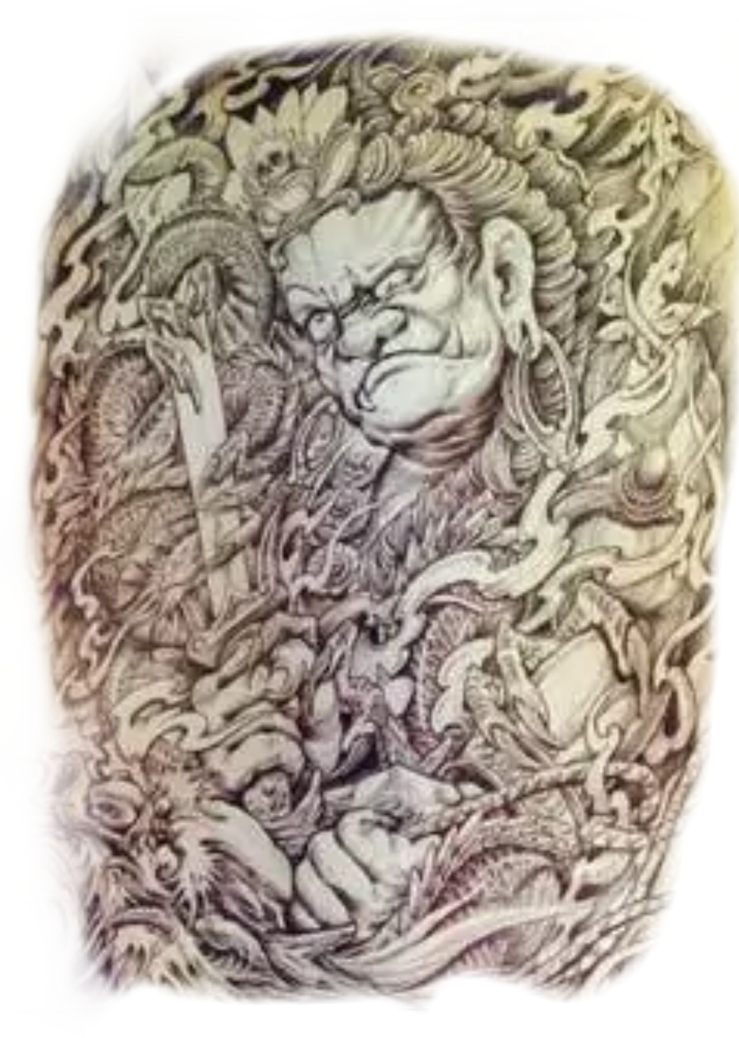 纹身手稿玫瑰|插画|插画习作|纹身师金玺 - 原创作品 - 站酷 (ZCOOL)
