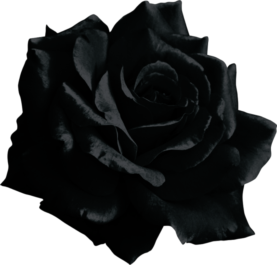 Black Flower Emoji Copy Paste Best Flower Site