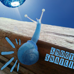 freetoedit snail blue