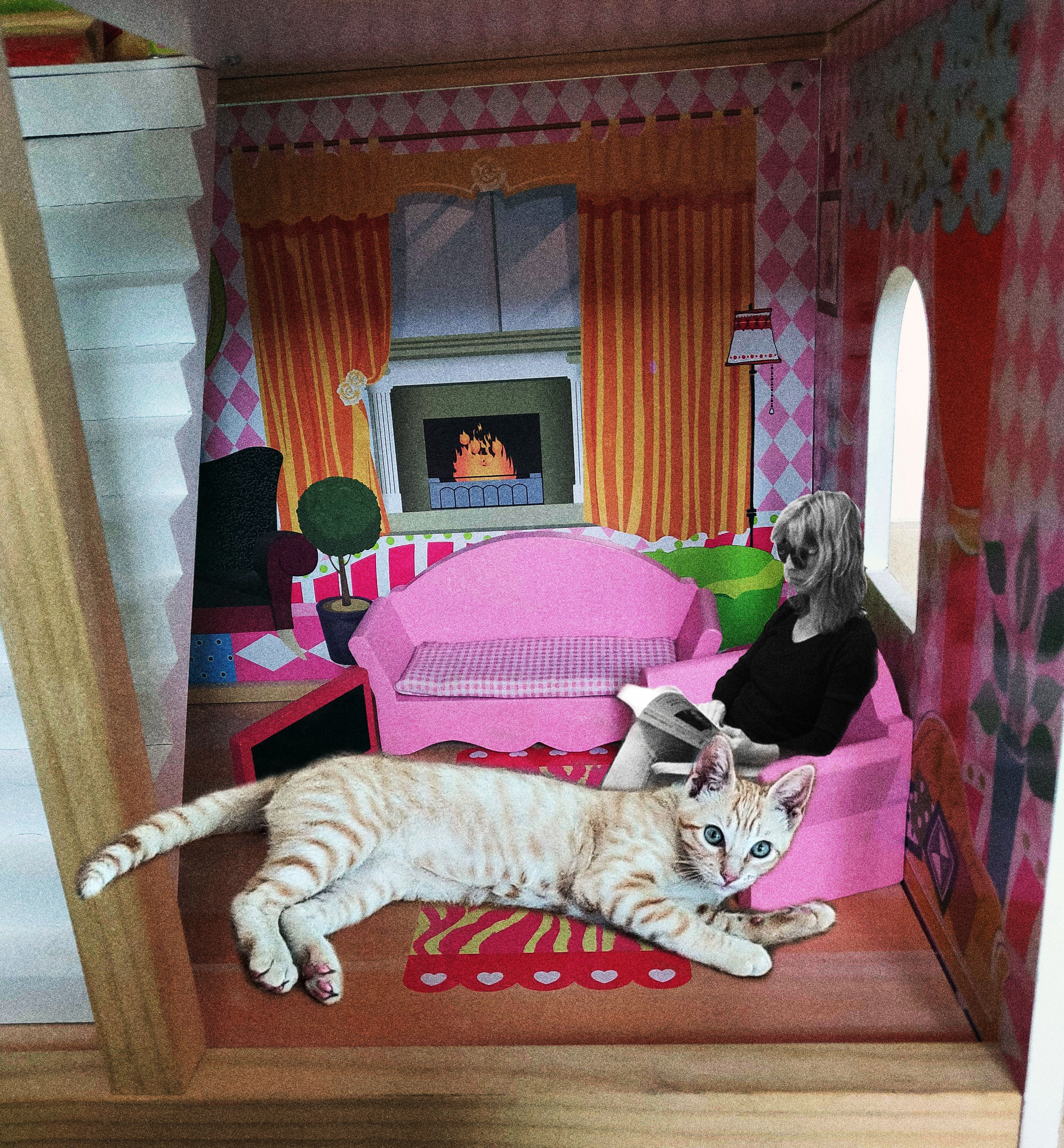cat doll house