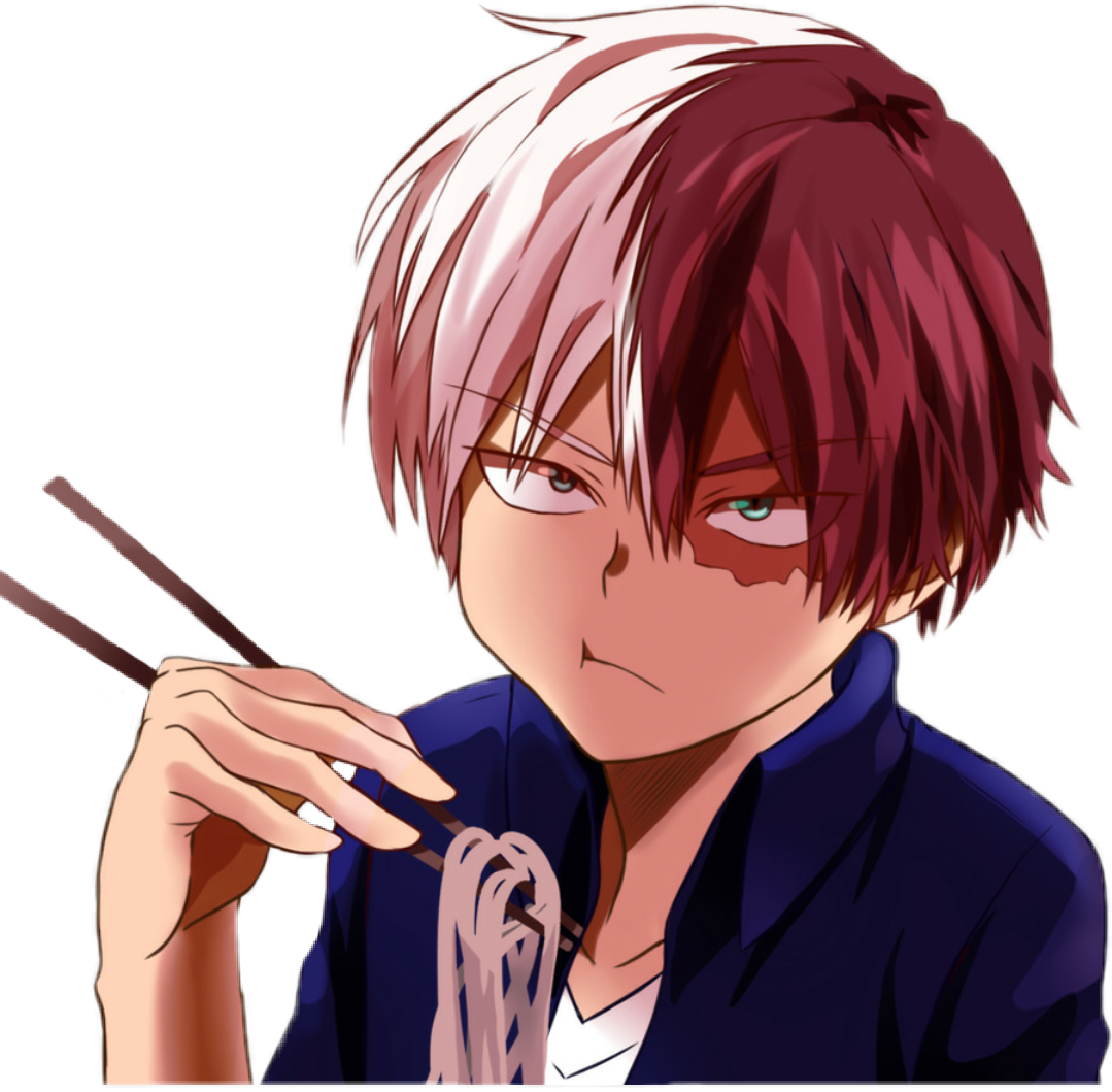 todoroki mha bnha shoto anime  animeboy 