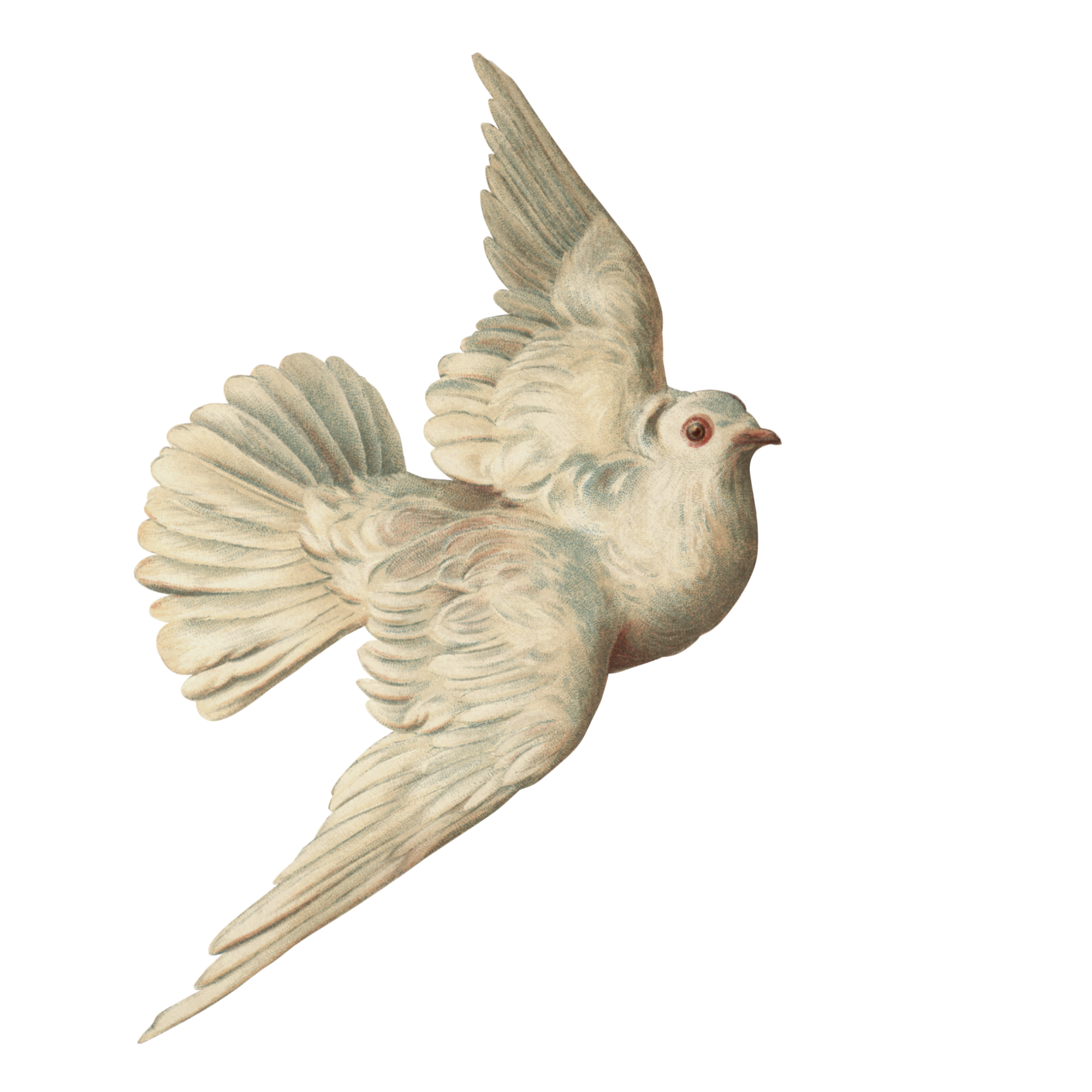 Голубь игрушка картинки