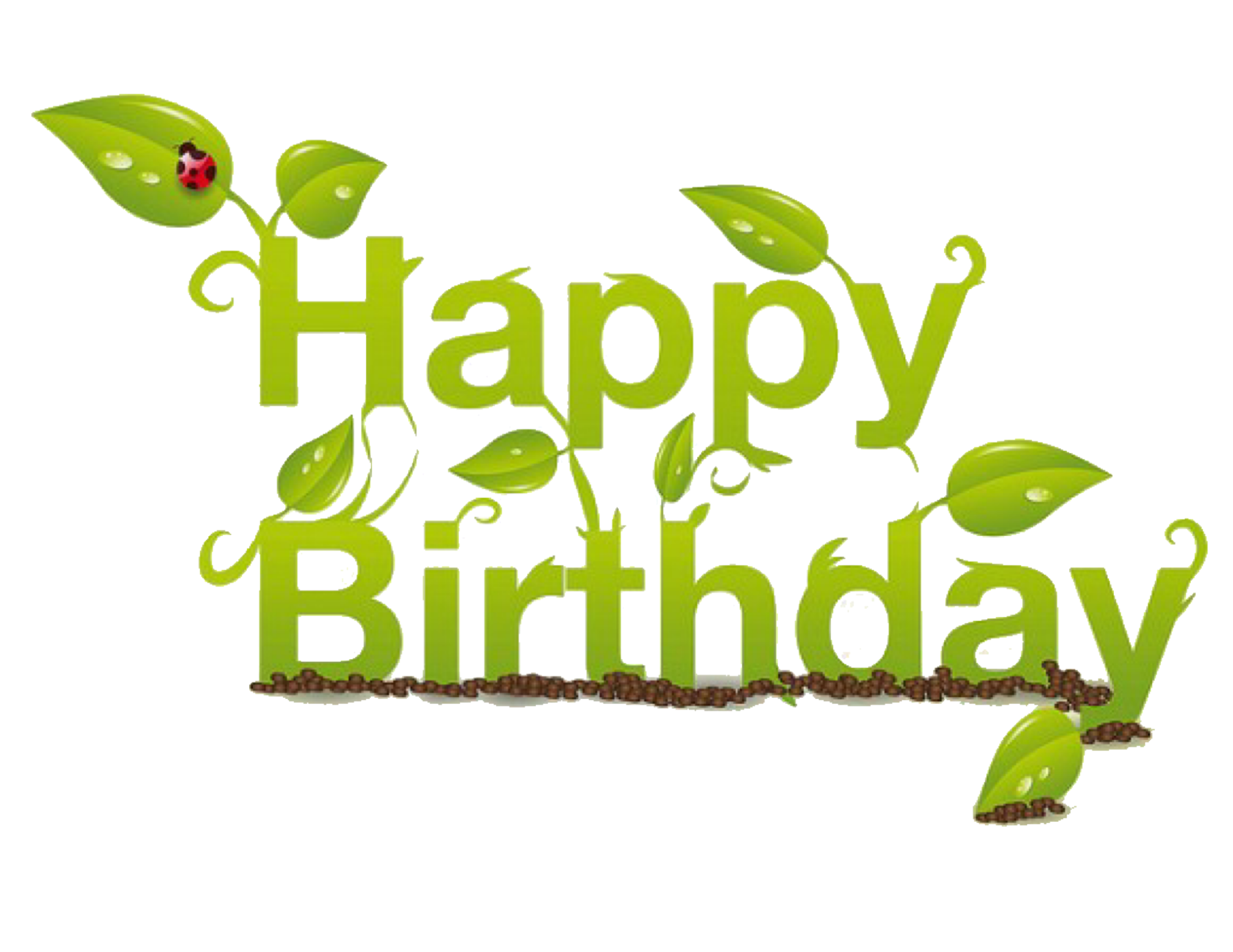 This visual is about text phrases birthday foreground background freetoedit...