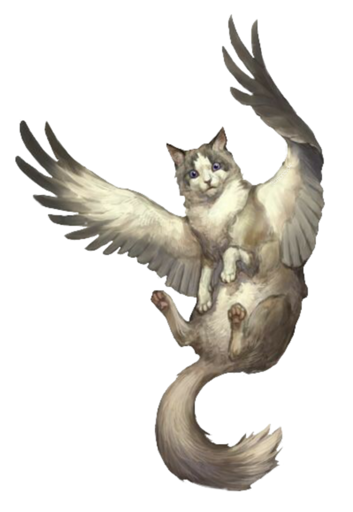 This visual is about freetoedit hybrid cat wings mythicalcreatures #hybrid ...