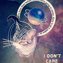 freetoedit cat spacecat