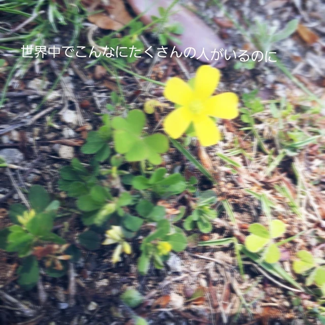 花 歌詞 Hy Song 恋愛 片思い For Image By はな 花 歌詞 Hy Song 恋愛 片思い For Image By はな