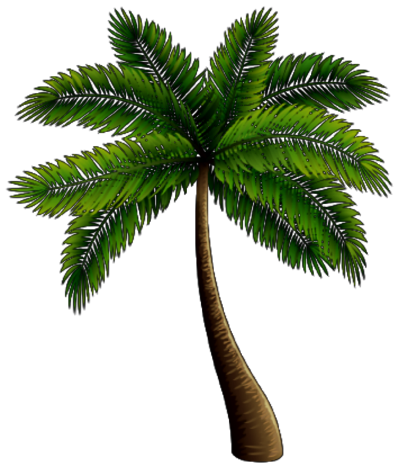 palm palmer palmera🌴 palmera sticker by @lucydylori