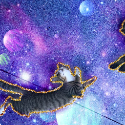 freetoedit galaxycats space cats