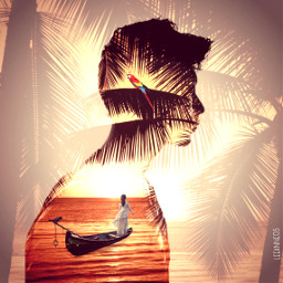 freetoedit tropical palmtree silhouette man