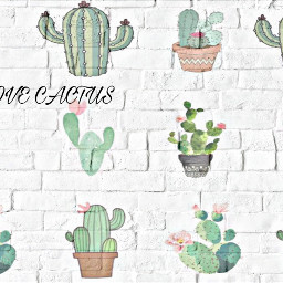 cactuslovers love freetoedit