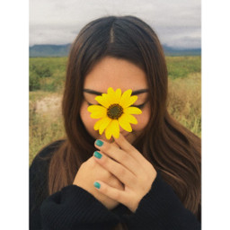 freetoedit sunflower girasol yellow flor
