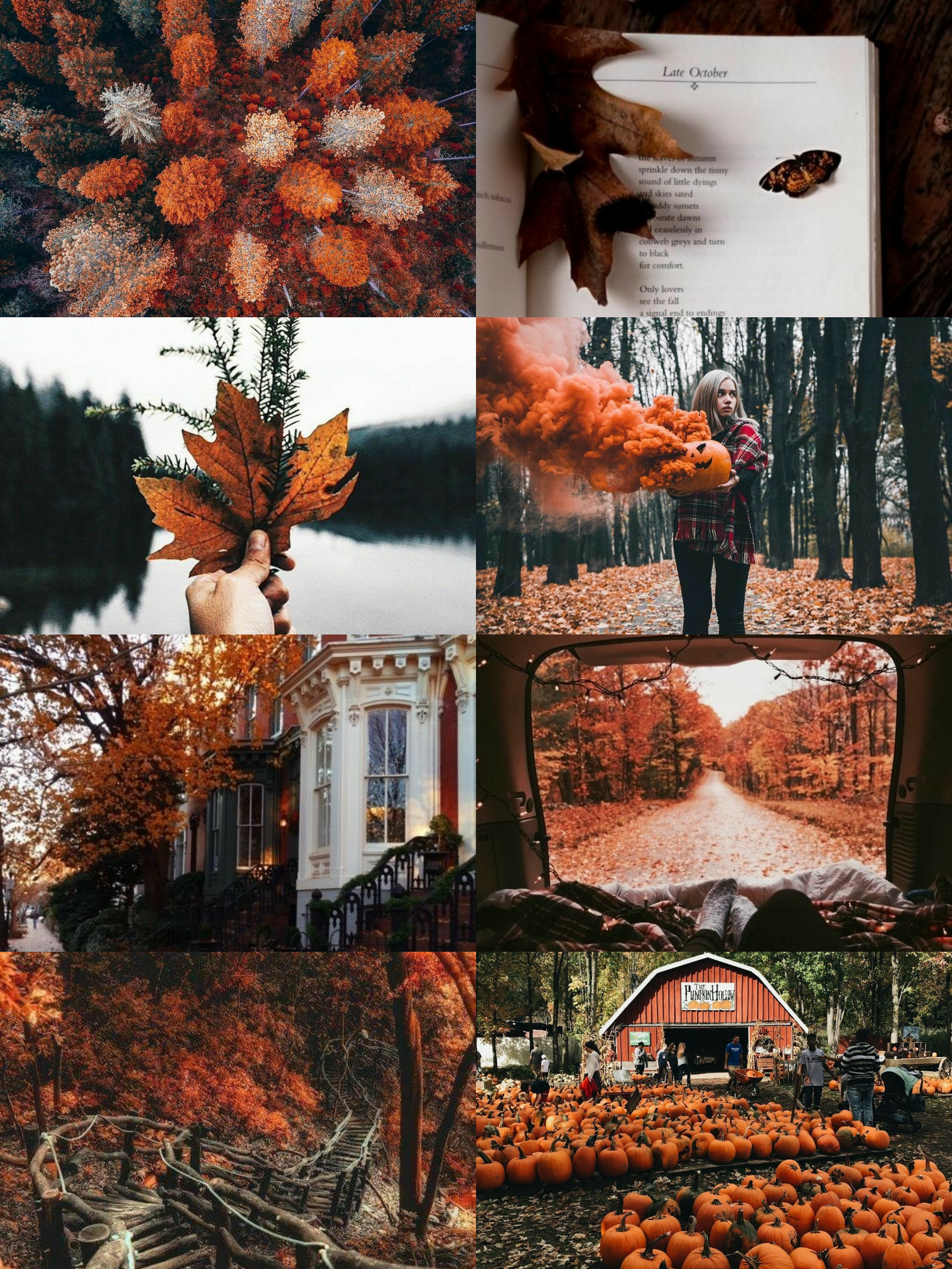 autumn cozy tumblr moodboard background...