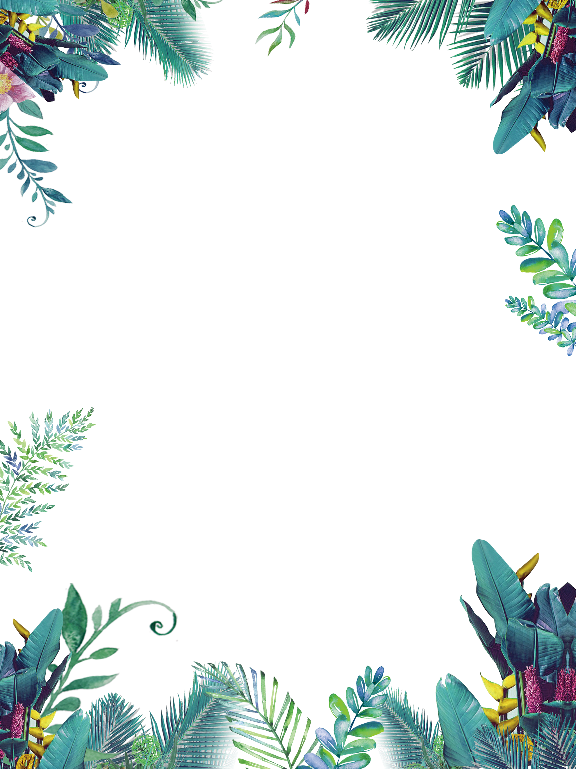 Tropical Border Png Png Image Collection