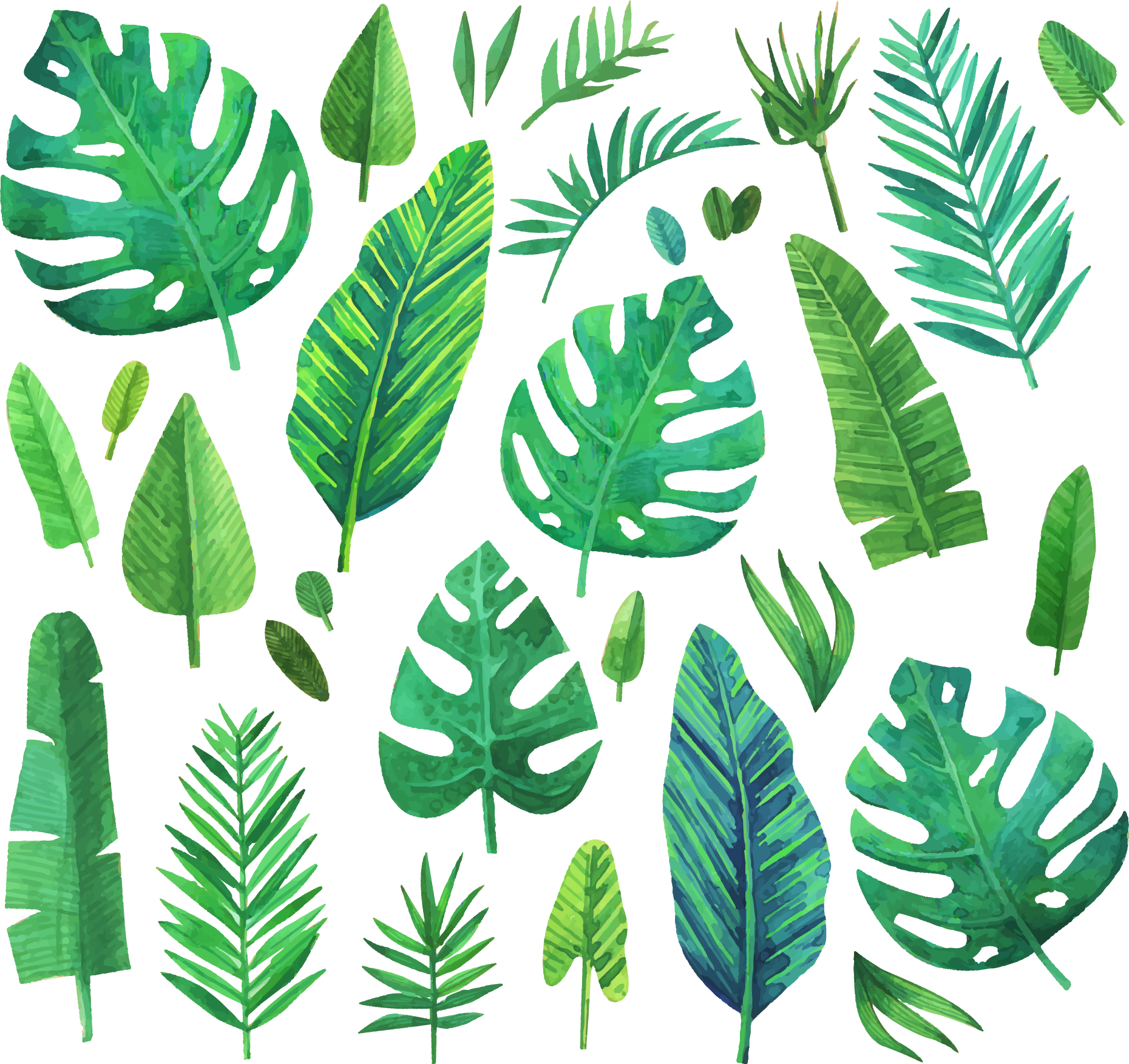 This visual is about jungle jungleleaf jungleleaves leaf leaves freetoedit ...