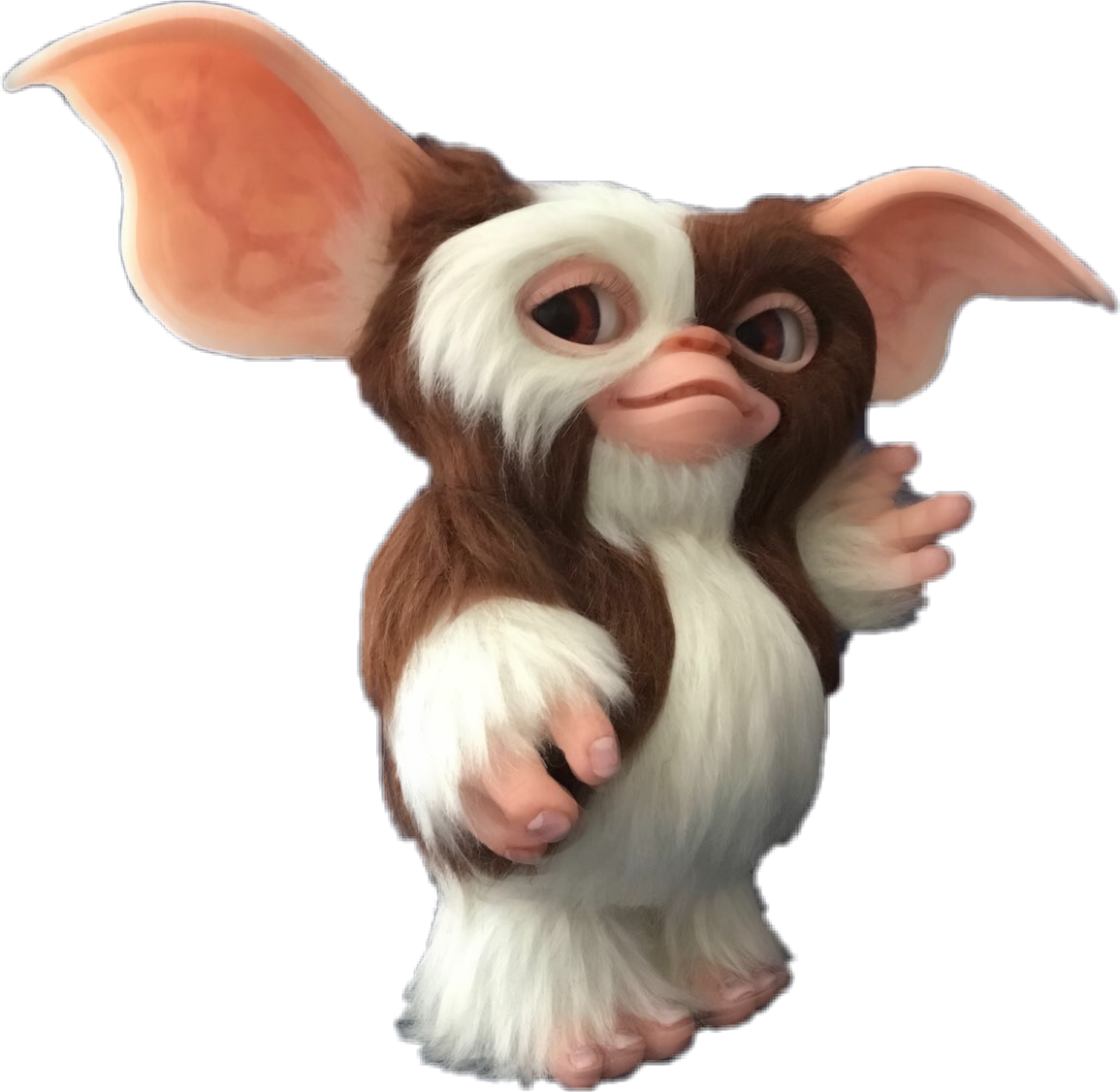 This visual is about gizmo mogwai gremlin monsters freetoedit #gizmo #Mogwa...