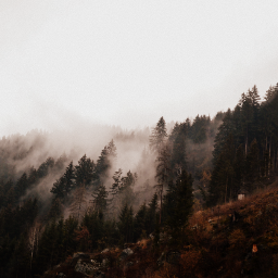 moody foggy fog mountains trees