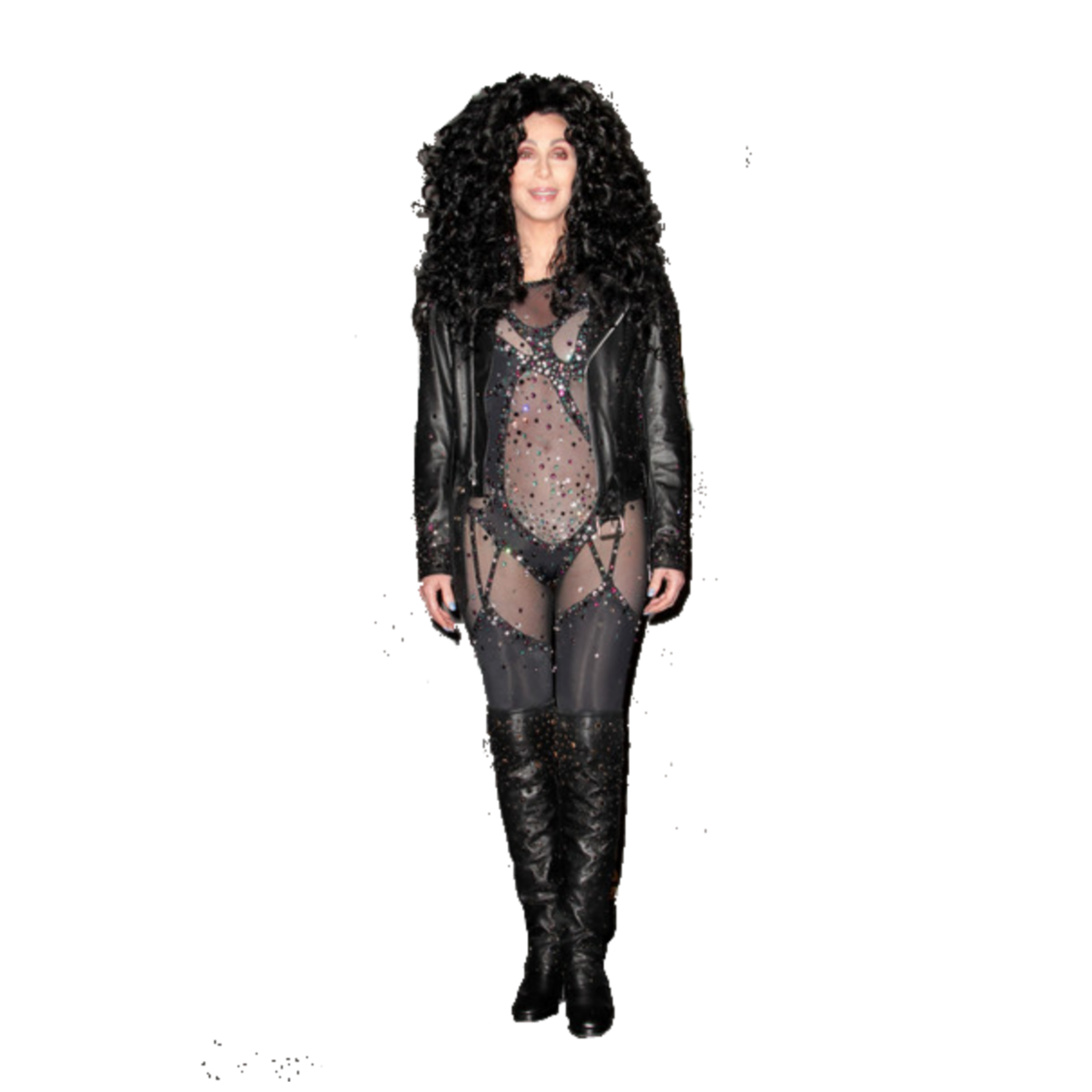 Cher Full Form Cher Full Form