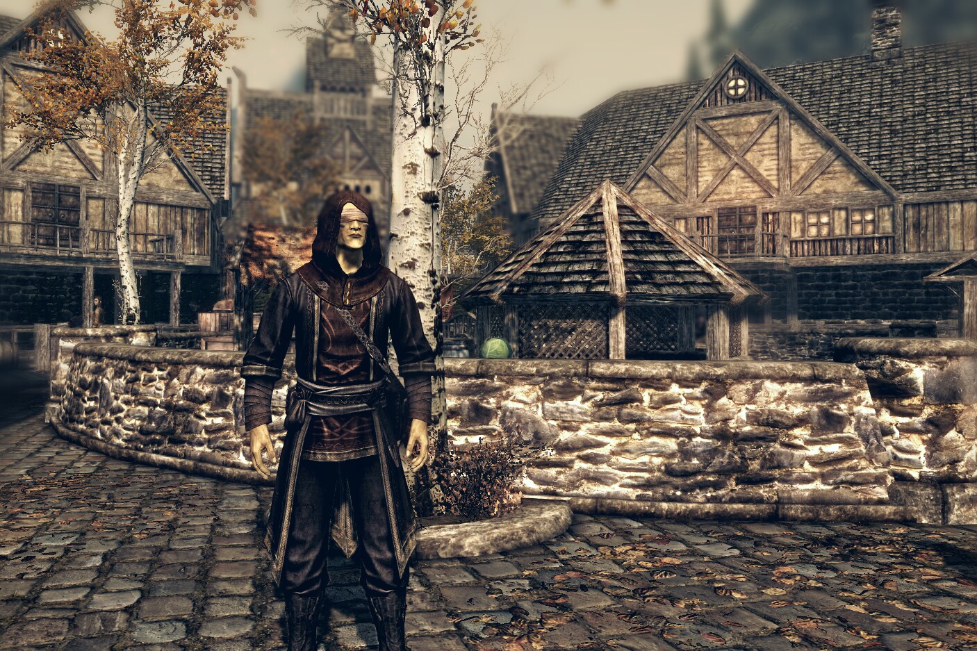 hero skyrim wizard thief man image by @mephisto_136