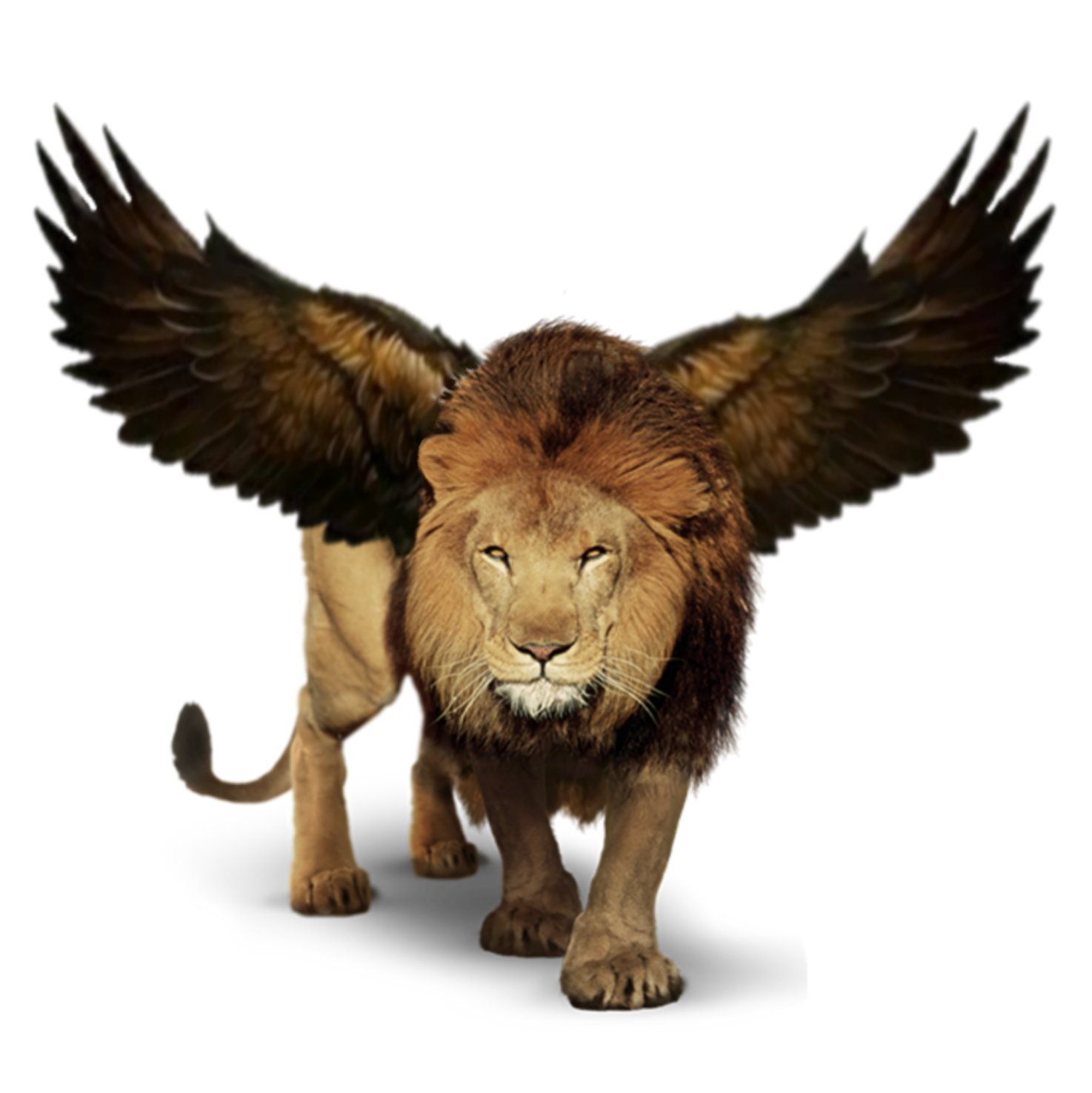 Winged lion. Винг Лион. Lion with Wings. Lion Wings Klin. Lioness with Wings.