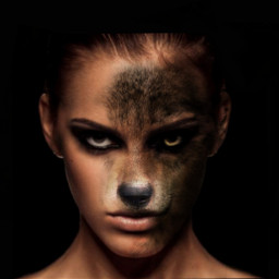 wolf ecdoubleface doubleface wolfgirl hybridanimal