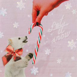 freetoedit christmas madewithpicsart madebyme polarbear candycane christmaslights snow magical cute snowflakes