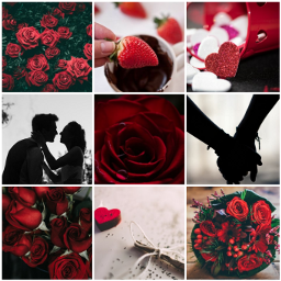 freetoedit valentinesday moodboard collage roses ccvalentinesdaymoodboard valentinesdaymoodboard