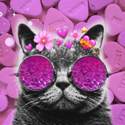 freetoedit cat irccandyheart candyheart