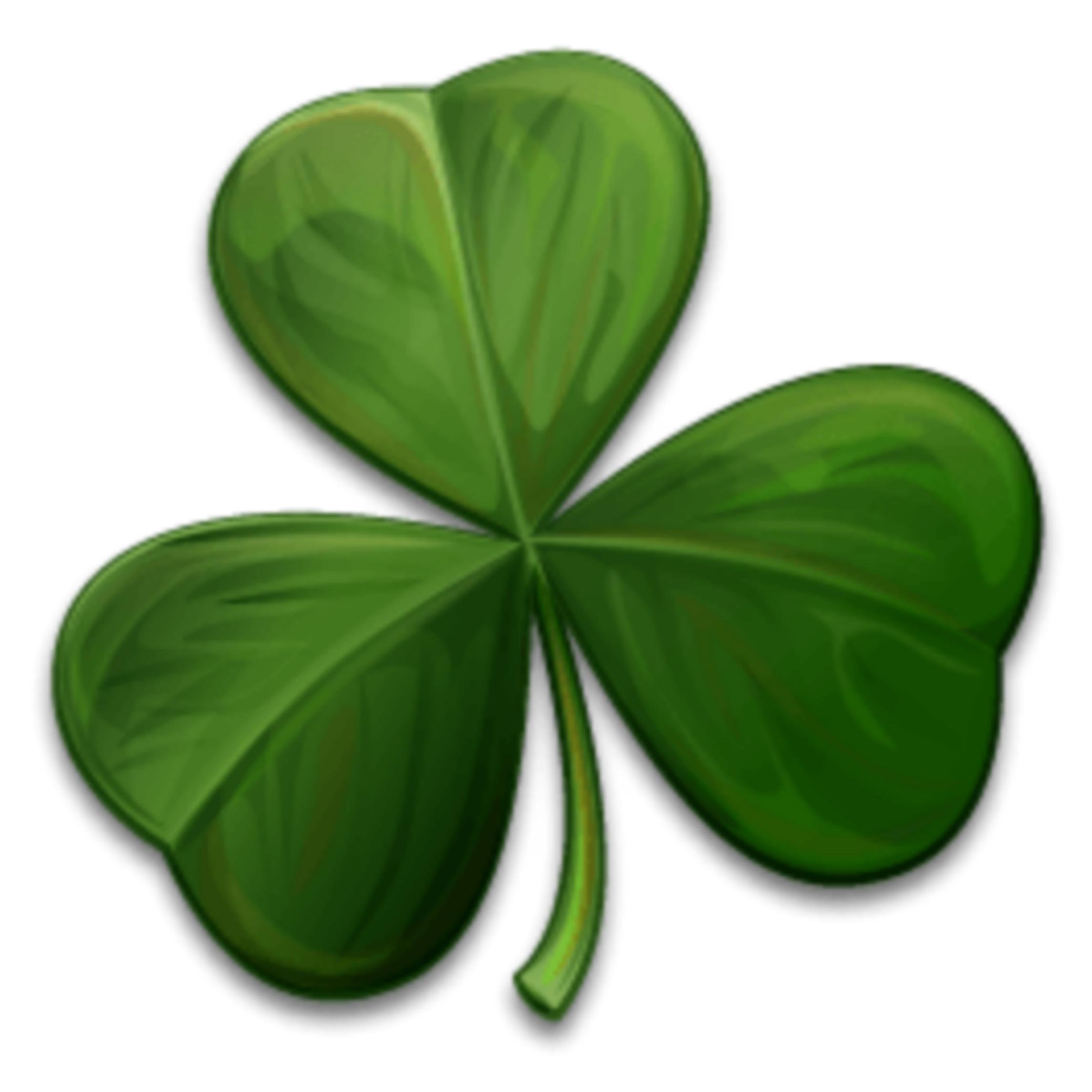 Shamrock symbol of ireland