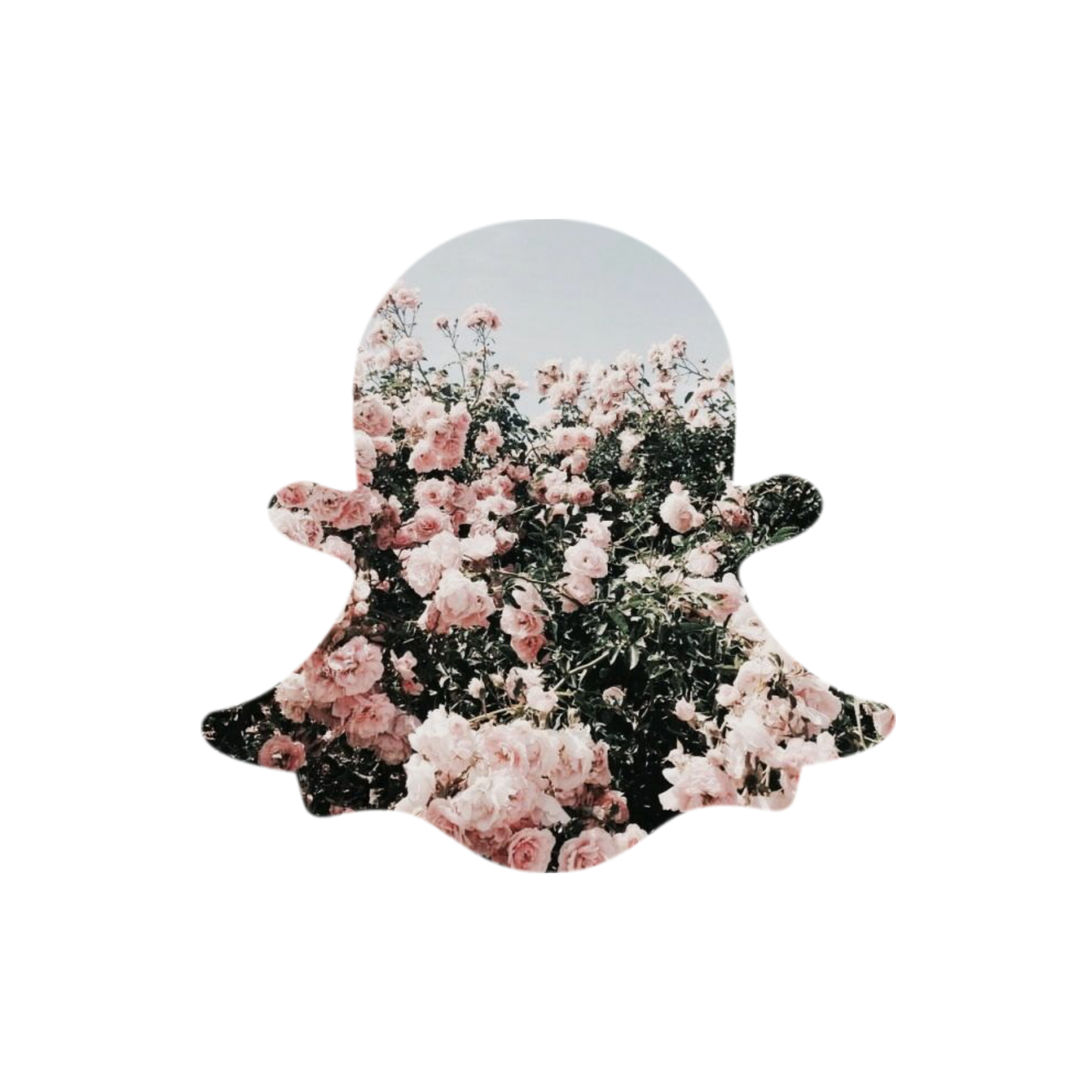 Snapchat App Sticker By I M Editingvalley On Insta