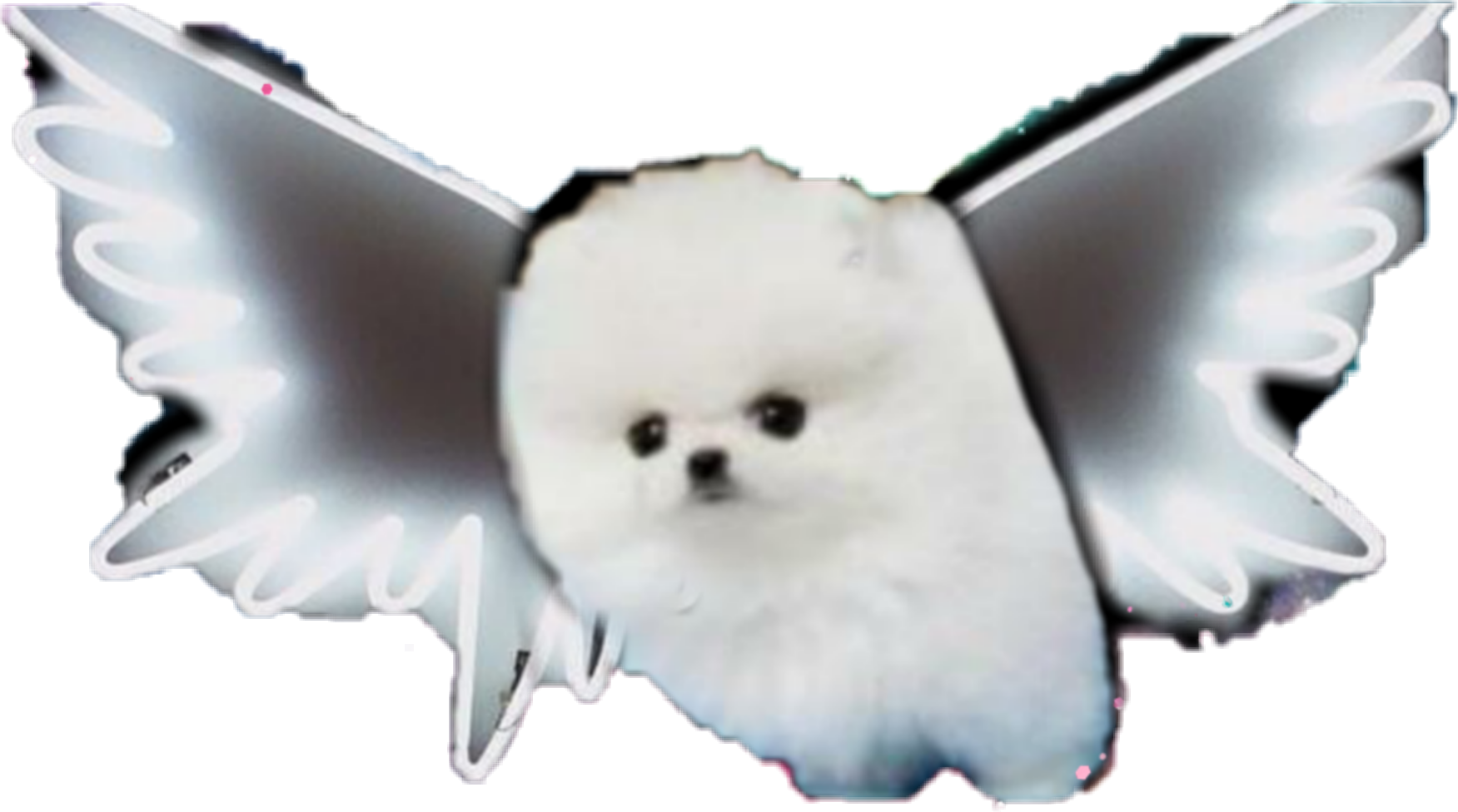 Pomeranian Puppy Wings Sticker By Maria Utr