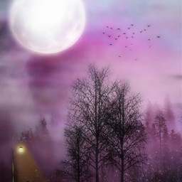 freetoedit magicsilhouette landscape trees moon