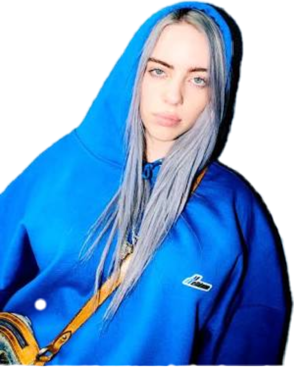 billie eilish blue hoodie