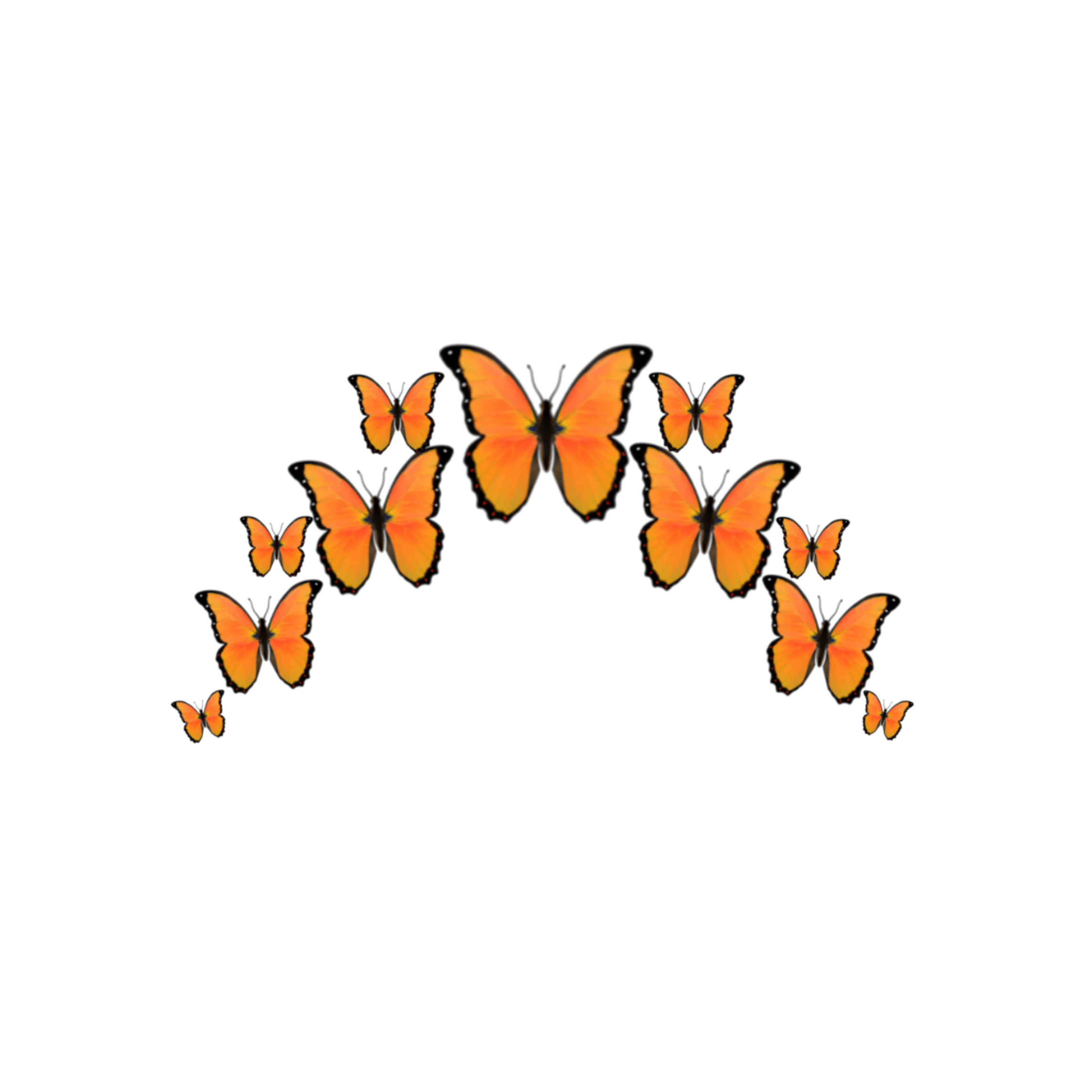  orange  butterfly butterflys crown emoji  emojis  sticker  