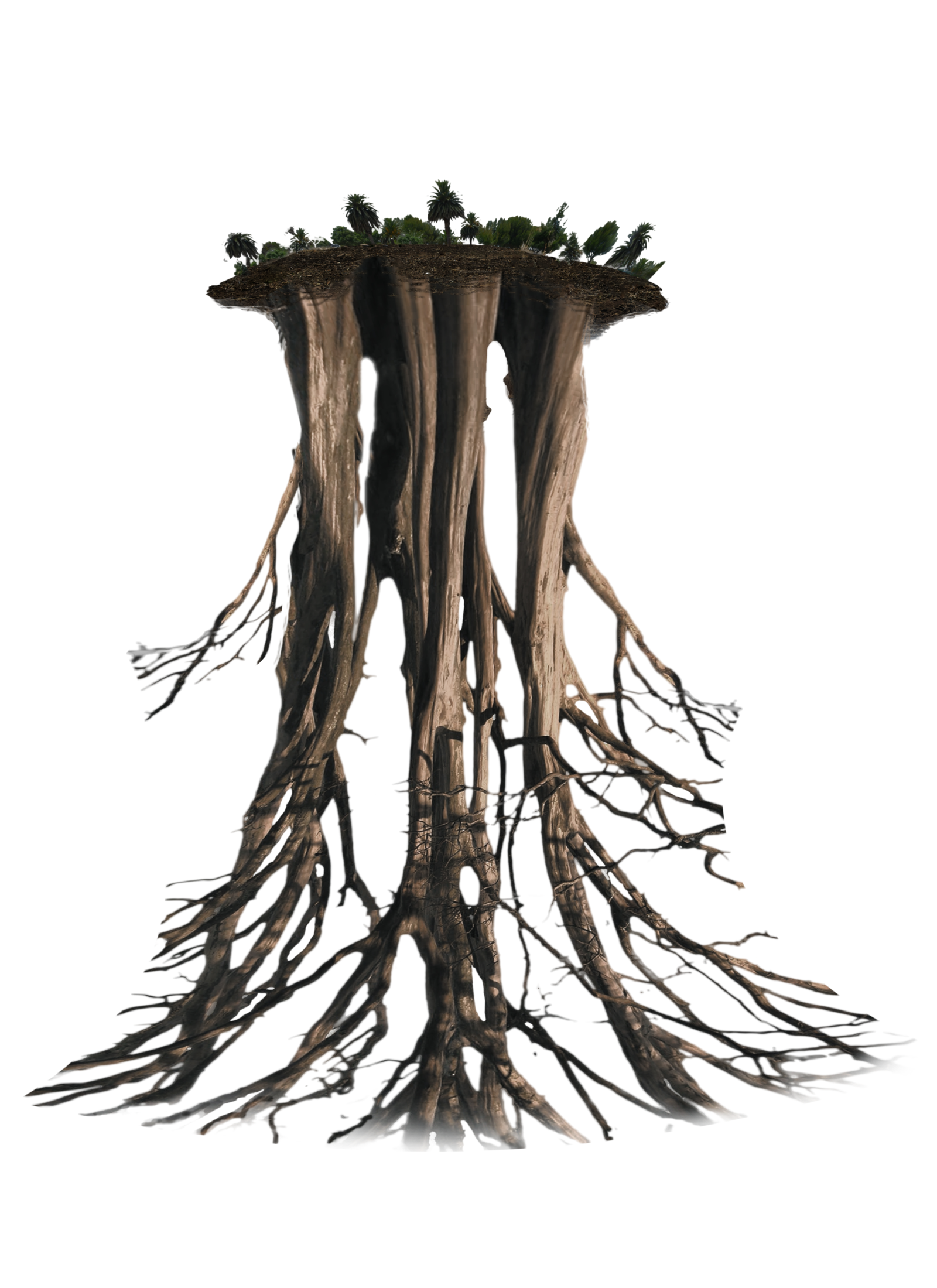 �������� � �������