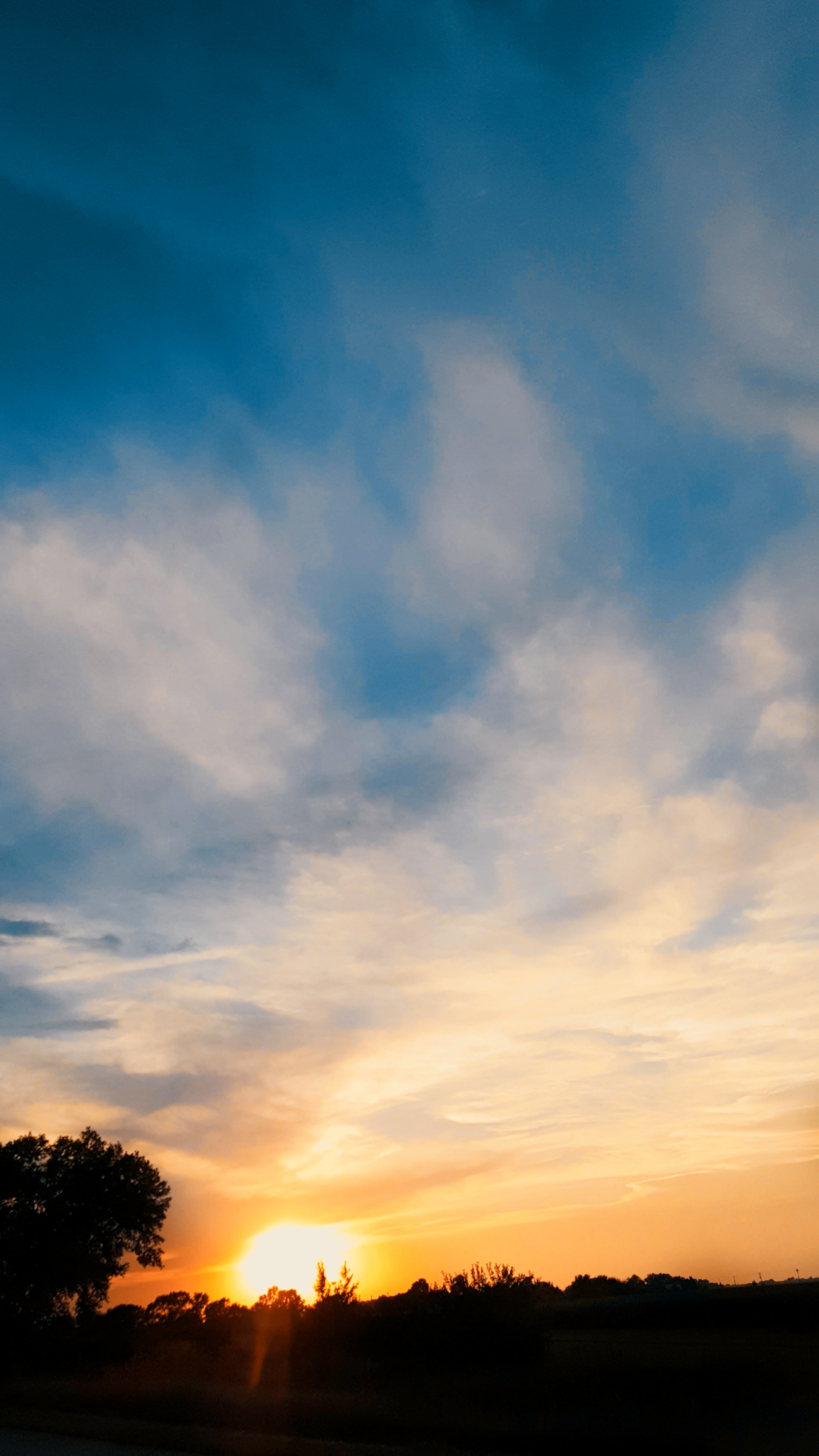 sunlight picsart tree nature colorful photography land&hellip;