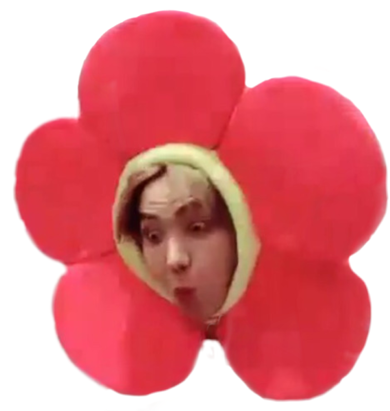 jhope bts flower flowerjhope 