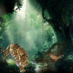 freetoedit amazonforest jungle jaguar bigcat