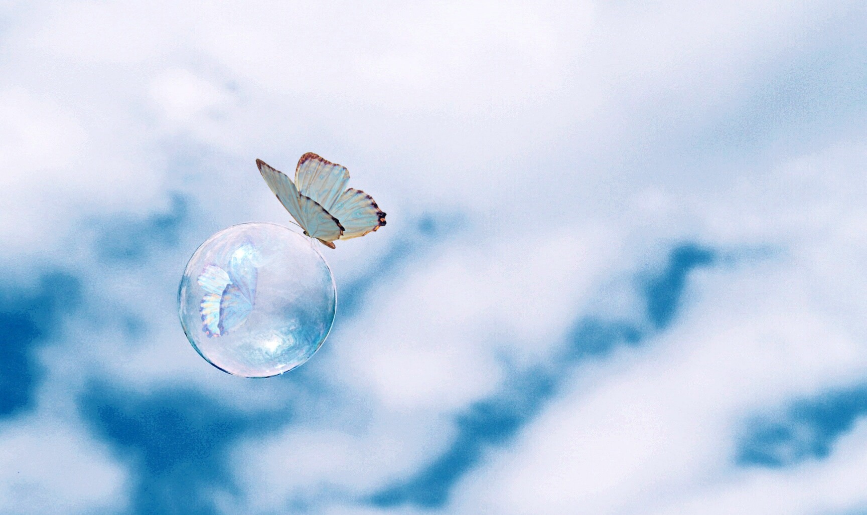 bubble butterfly