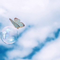bubble butterfly butterflies sky dream freetoedit