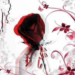 Blood Rose Similar Hashtags On Picsart