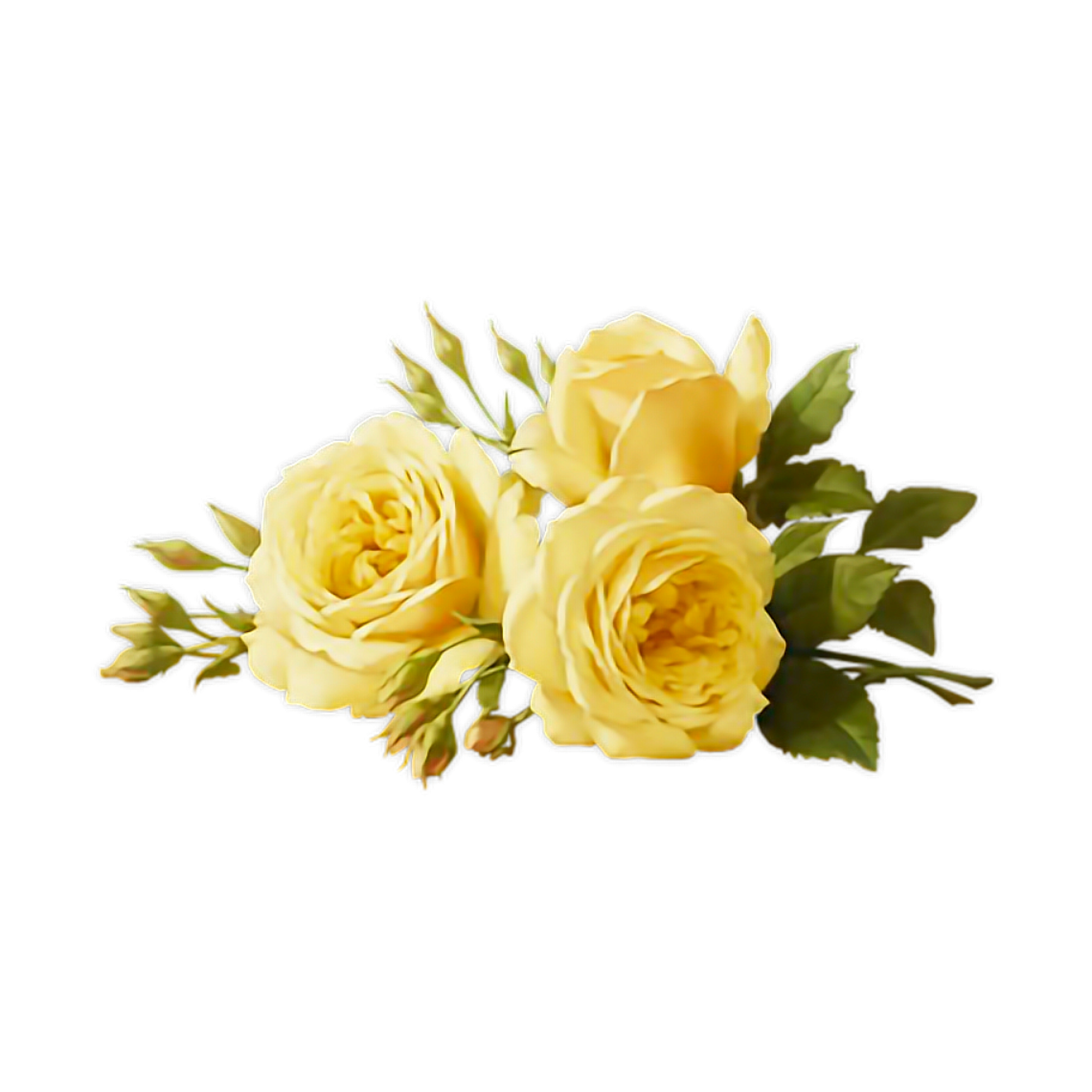 Желтые розы в прическу