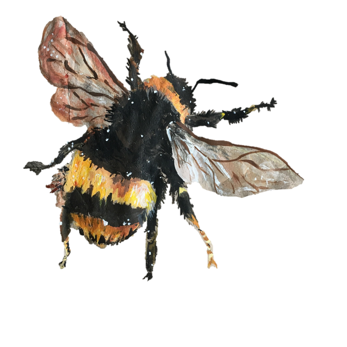 This visual is about bee bumblebee art illustration freetoedit #bee #bumble...