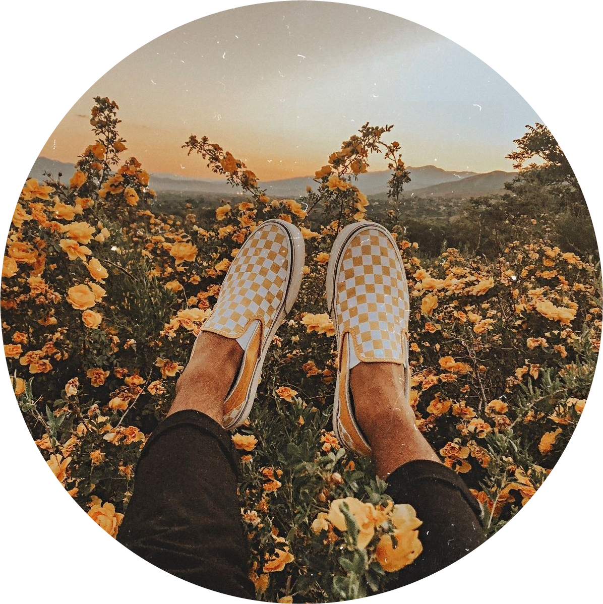 yellow vans with flowers