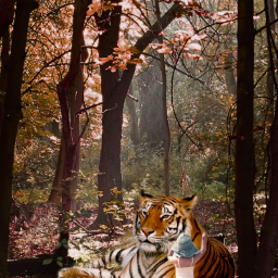 freetoedit tiger lion boy girl